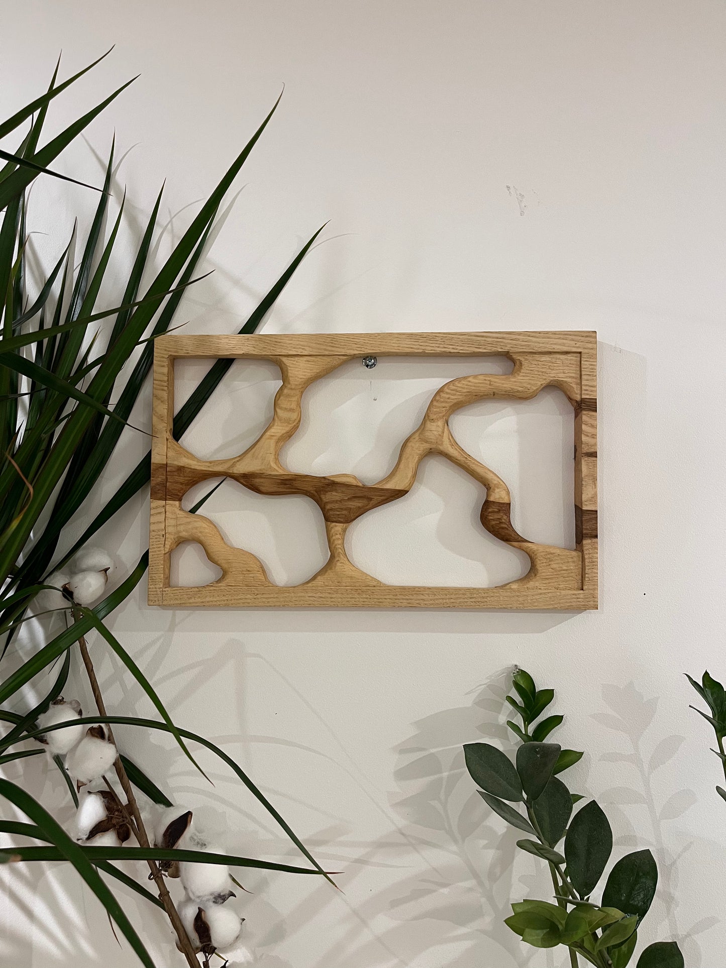 CADRE FRÊNE OLIVIER